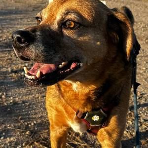 Meet your Posher, Carol